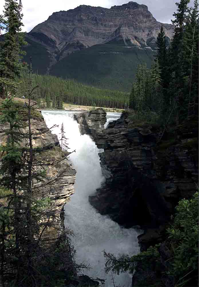 81 - Canada - parque nacional de Jasper, cataratas Athabasca